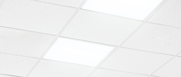 Ceramaguard Fine Fissured