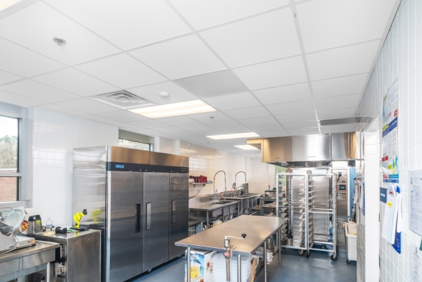 Rockfon® Hygienic Plus